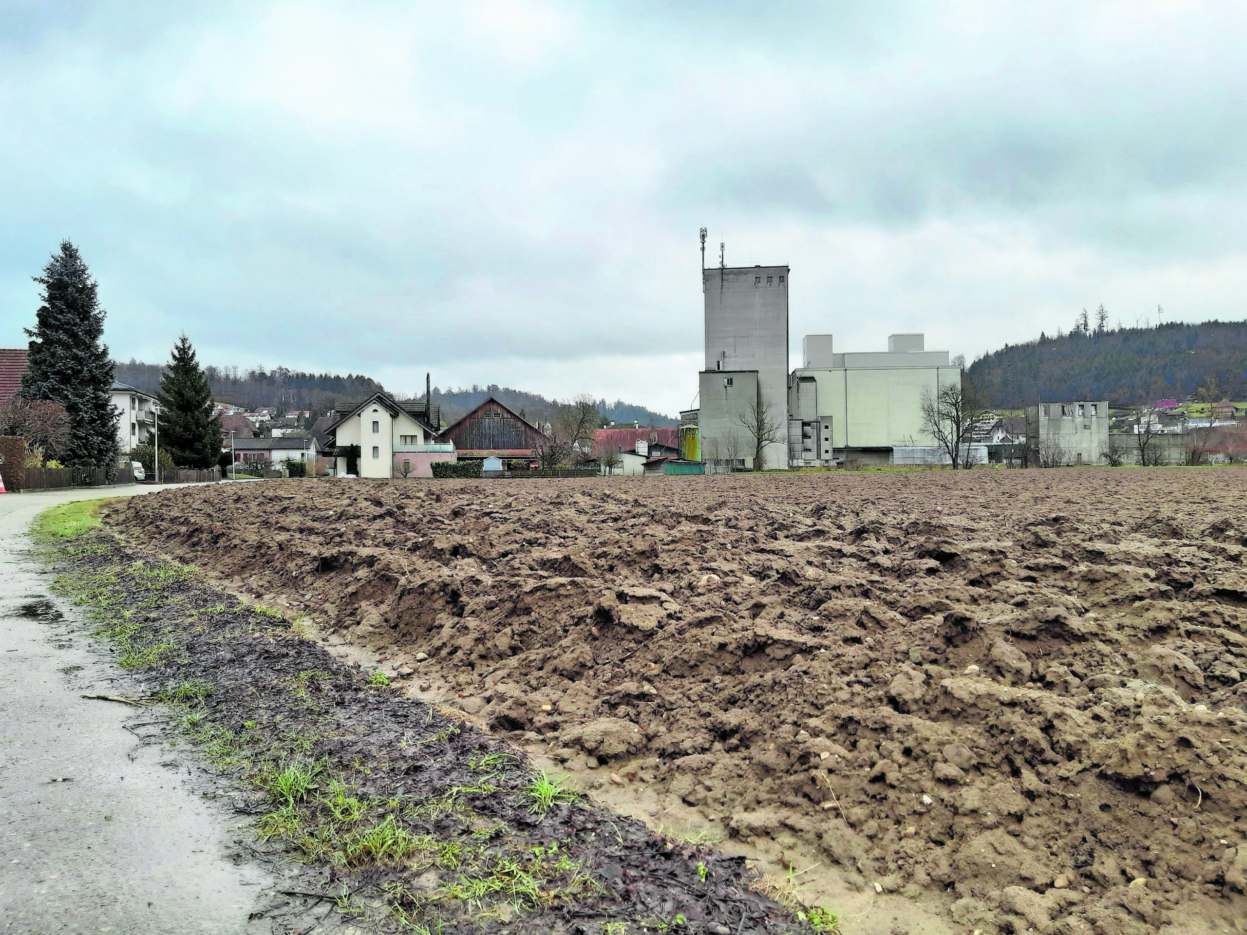 Das Gebiet Hegmatte in Schöftland, wo das neue WSB- (AVA) Depot entstehen soll. Einen Entscheid betreffend Überbauung wird die Gmeind frühestens 2022 fällen.