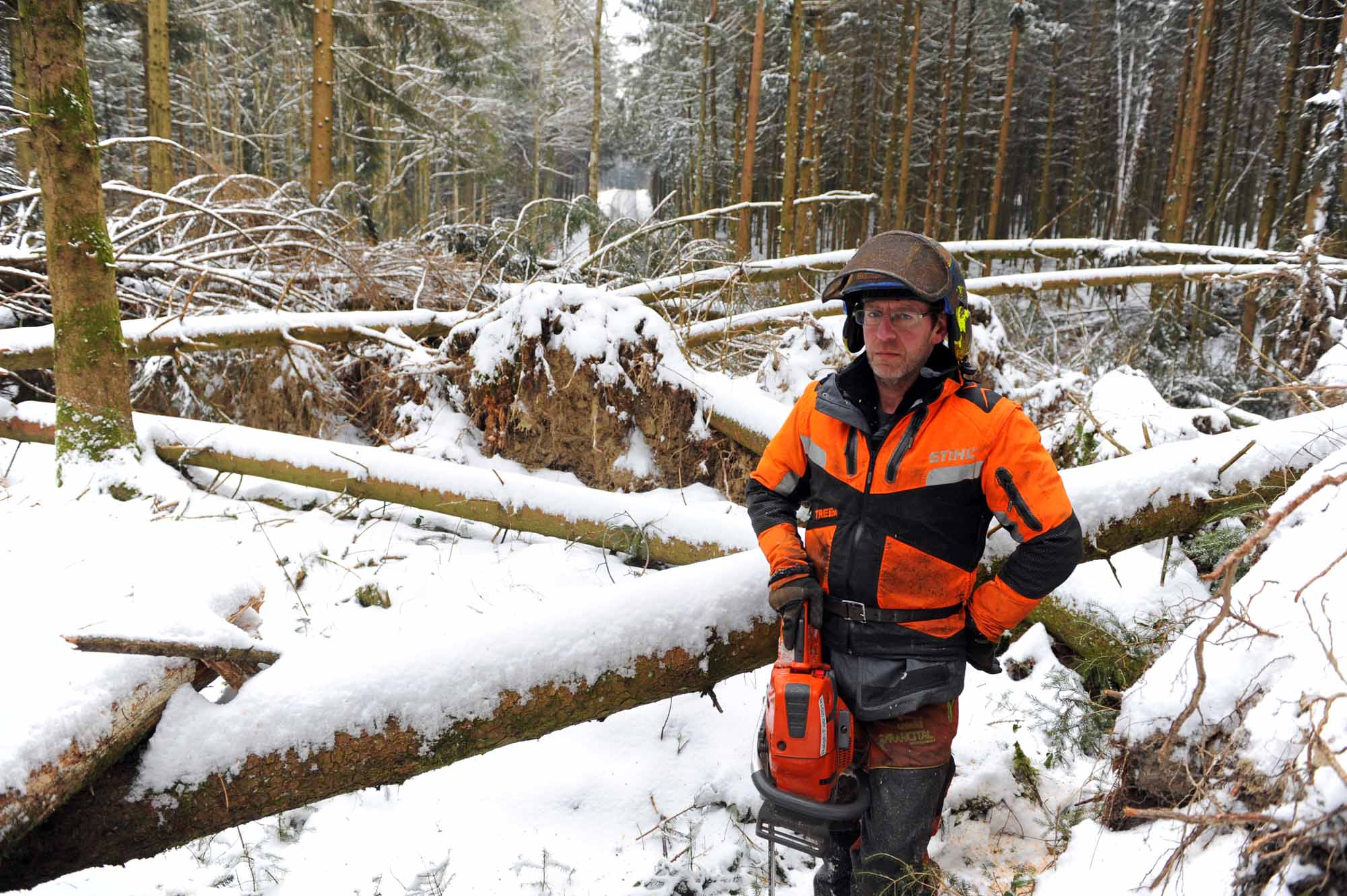 060318_reg_wald_ran061