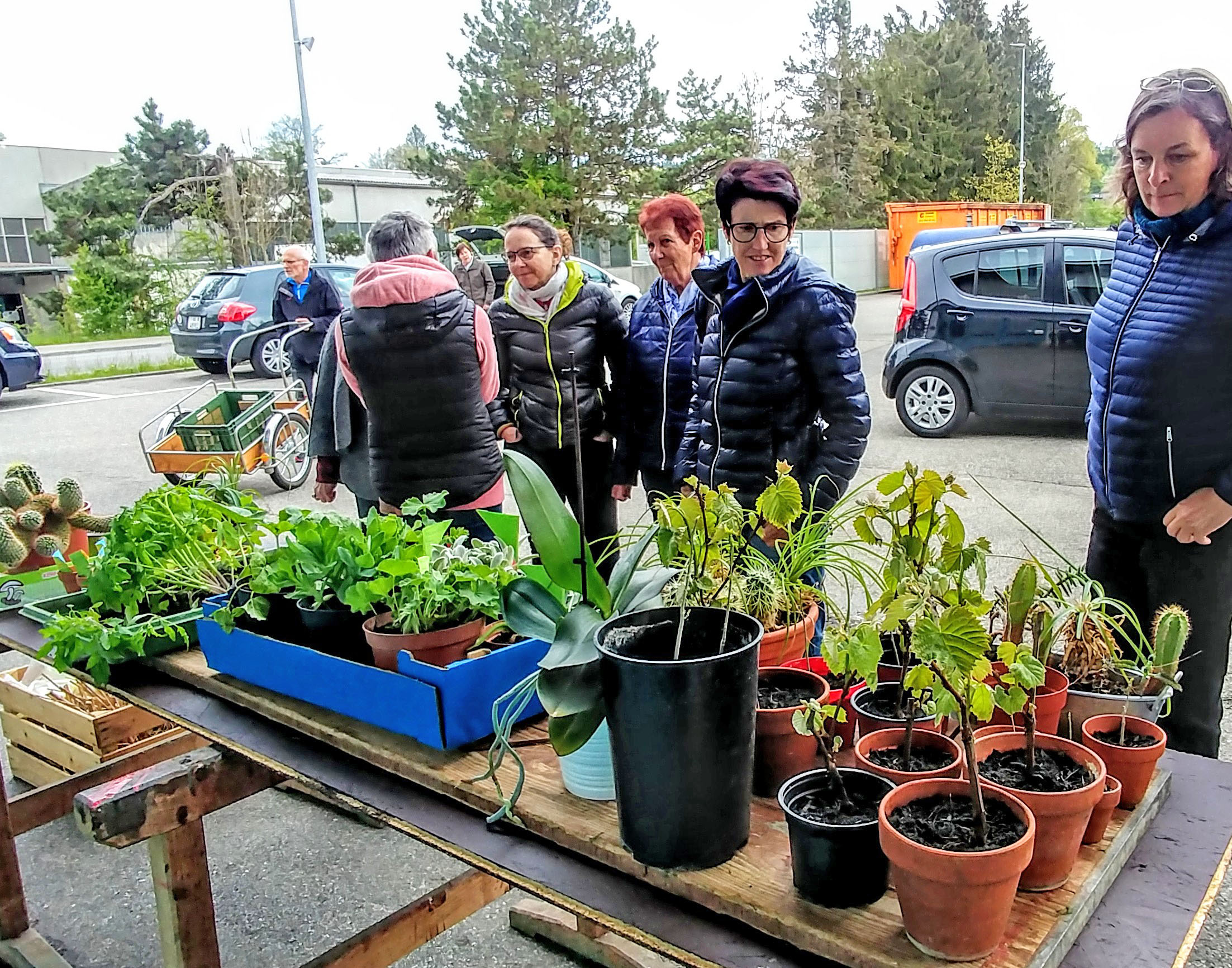 070519_reg_wib_multisammelstelle1