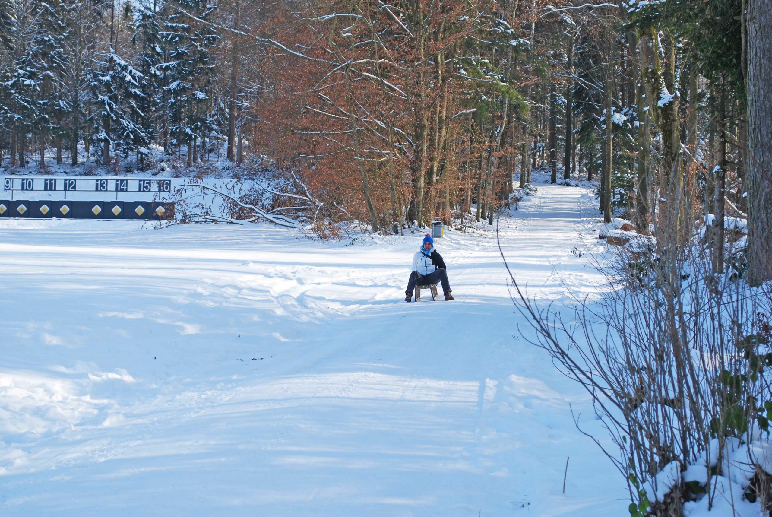 Schlitteln auf dem Zofinger Heitern