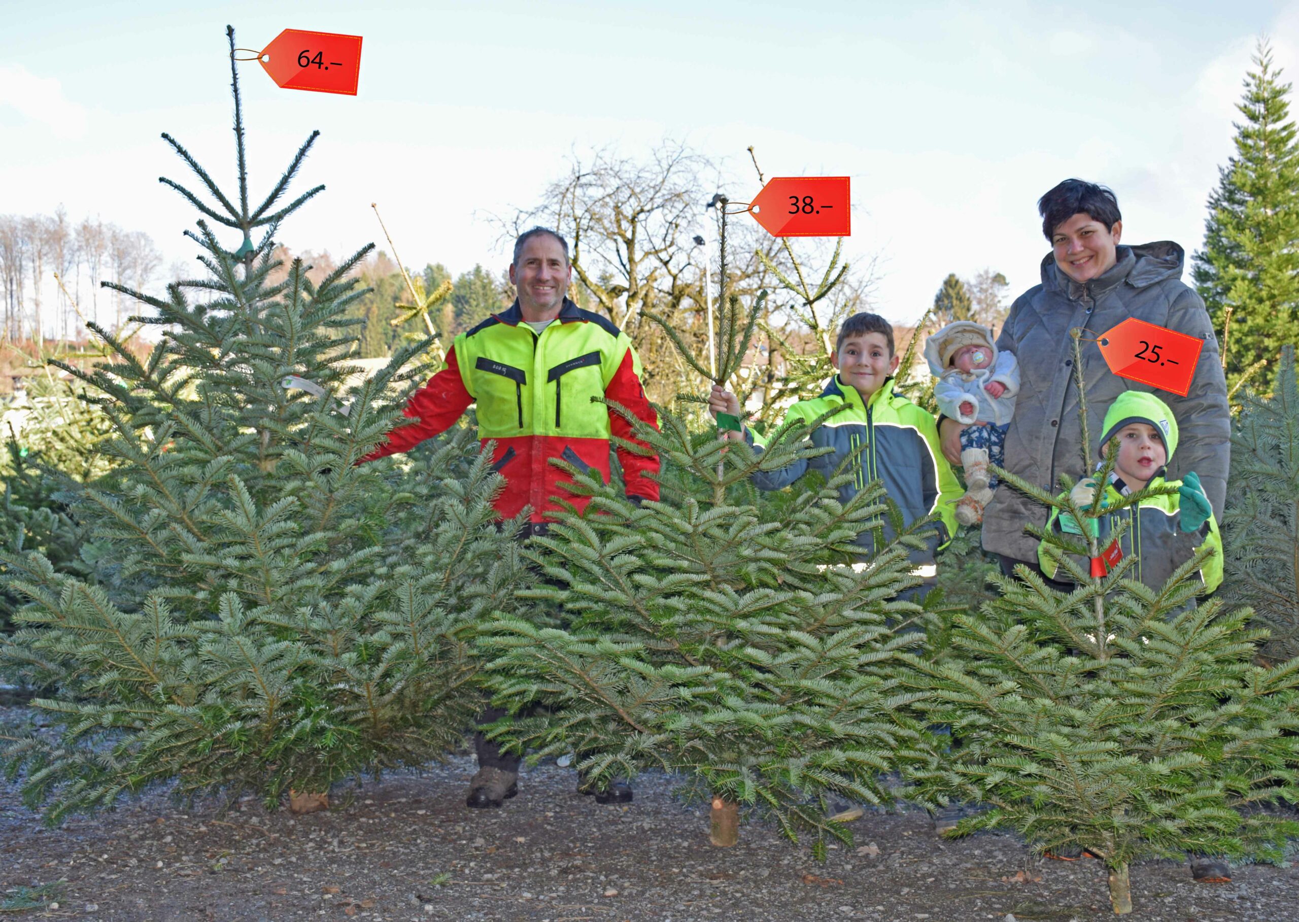 141218_reg_weihnachtsbaeume_lwe_shutterstock_pmn