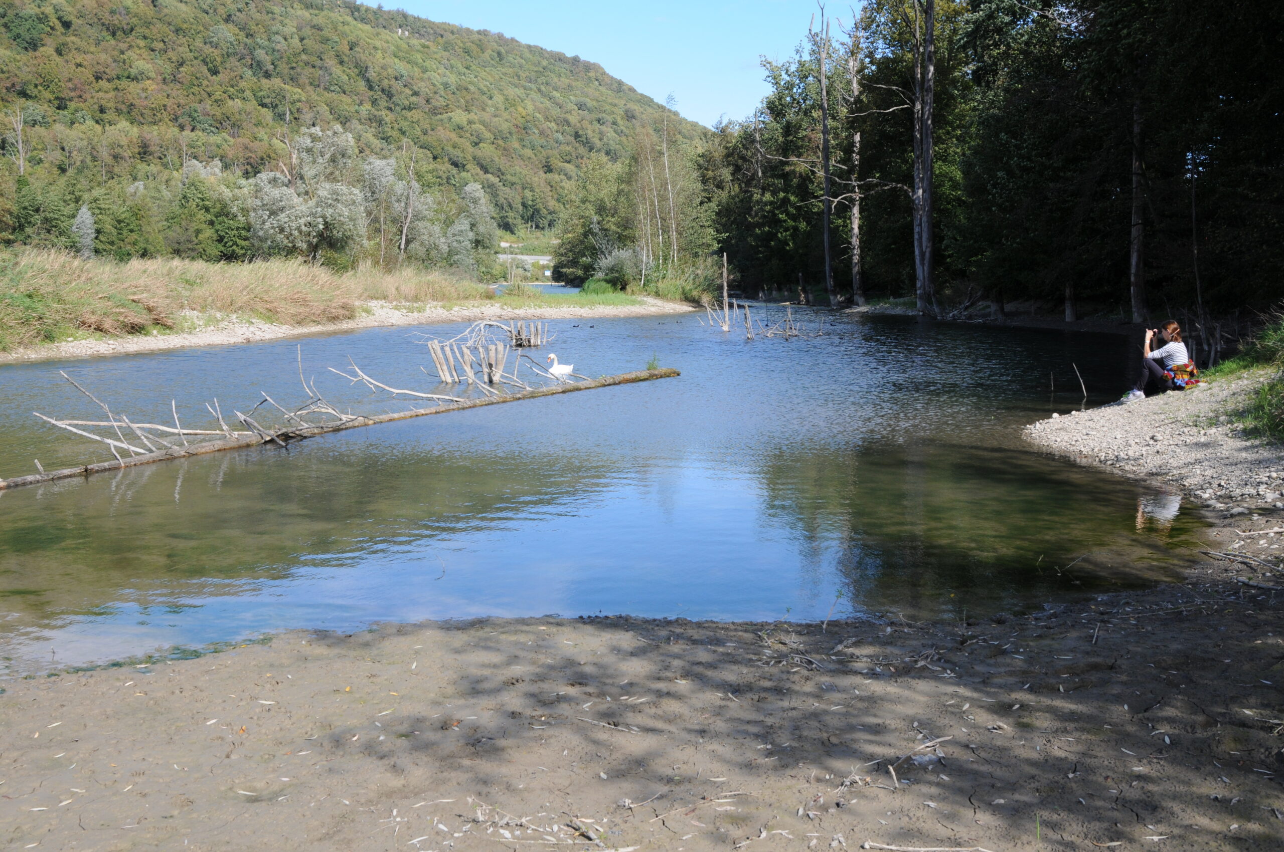181018_reg_niederigwasser_aare_09