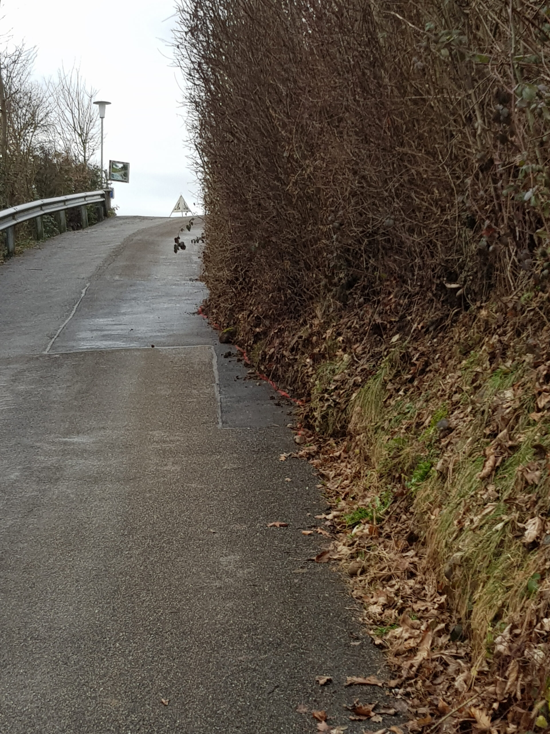 240118_reg_hangrutsch_vwald_zvg