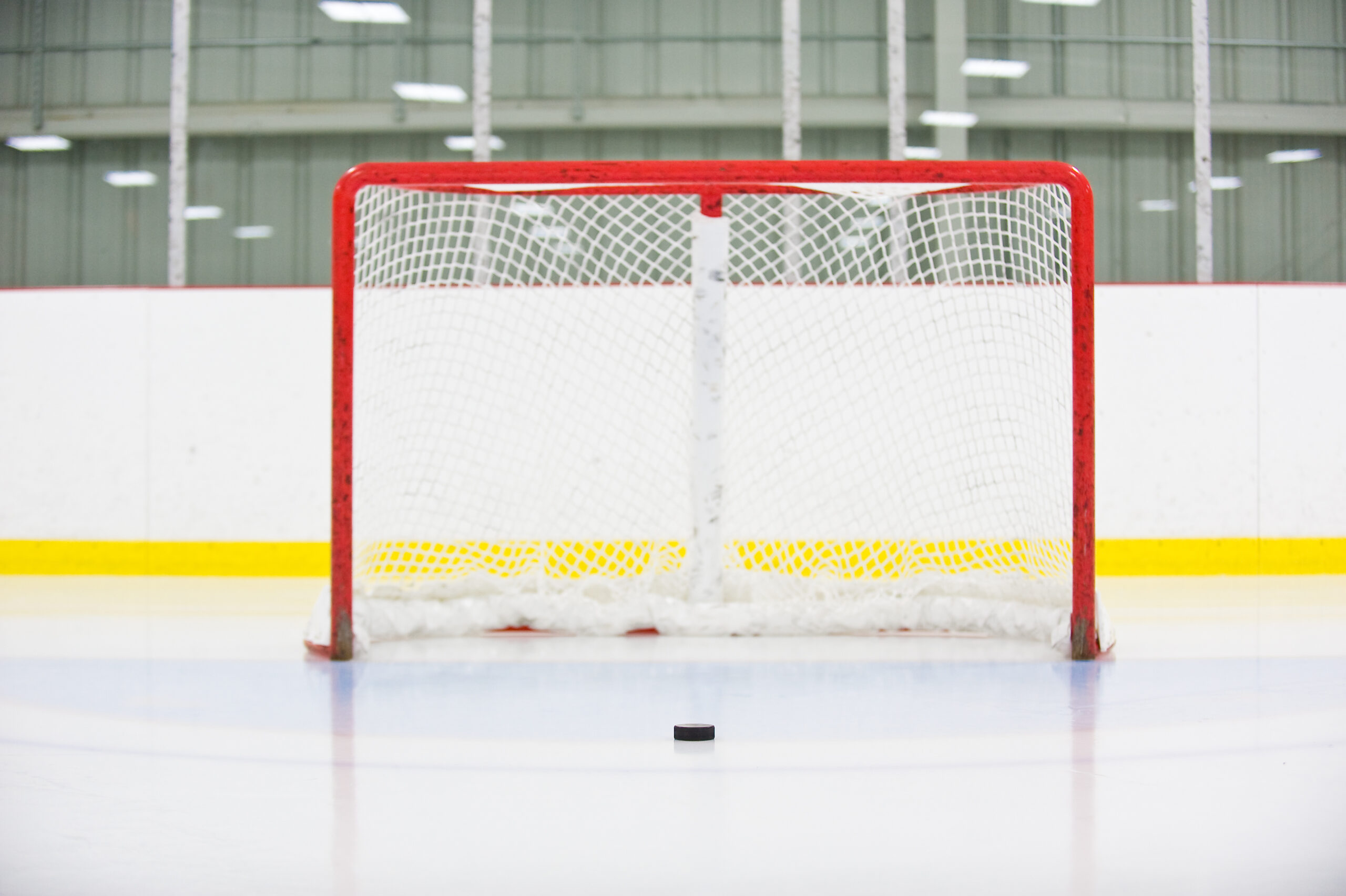 Hockey puck by goal