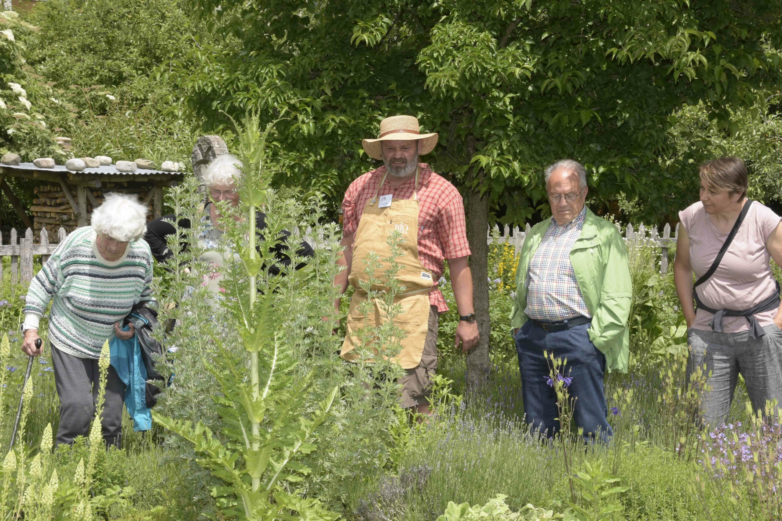 750_0008_14400751_180619_reg_wib_museumgarten