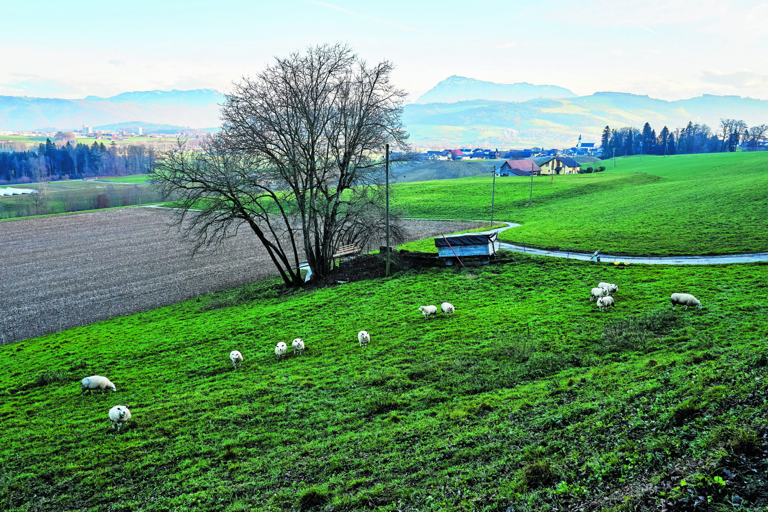 Flurnamen-Serie: Bethlehem bei Dietwil
