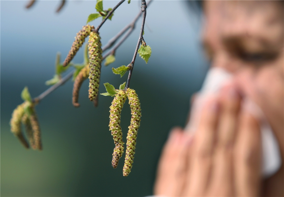 750_0008_5734094_200114_reg_fruehling_bkr_pollen