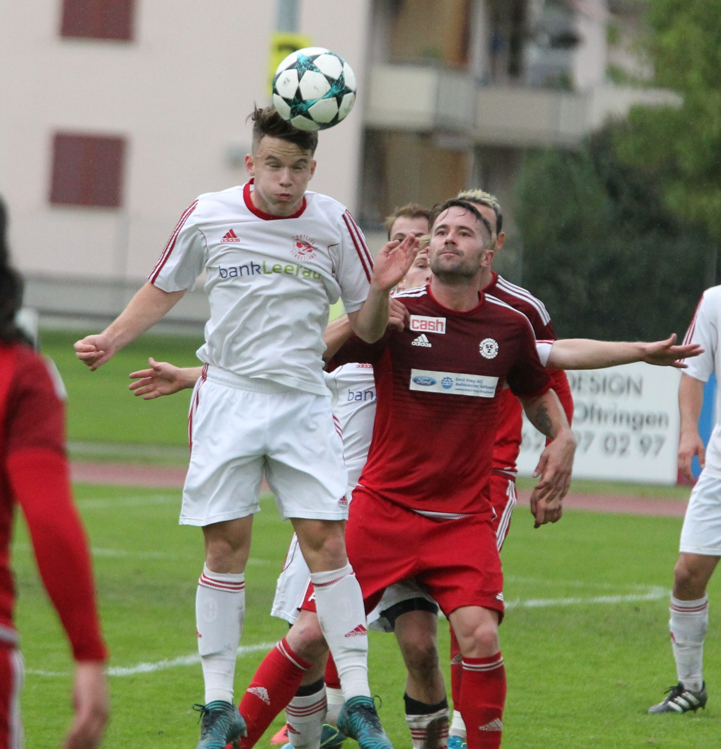SC Zofingen - SC Schöftland