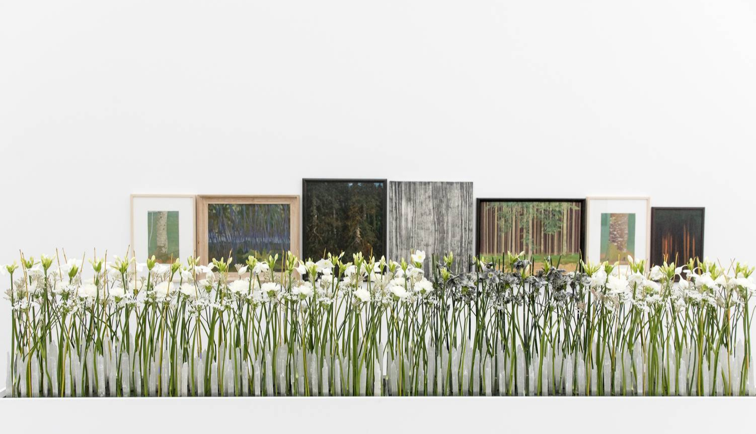 Bluemen_Kunsthaus5 Blumen für die Kunst 2019 (© Severin Bigler)
