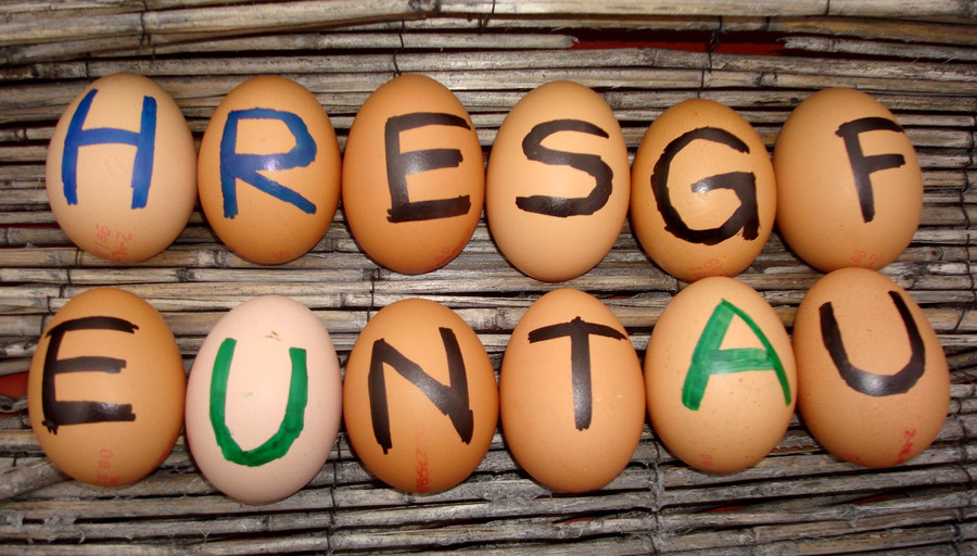 Eier