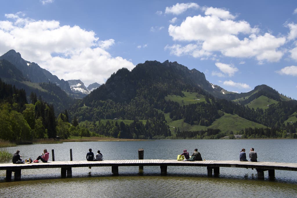 Fruehling_keystone