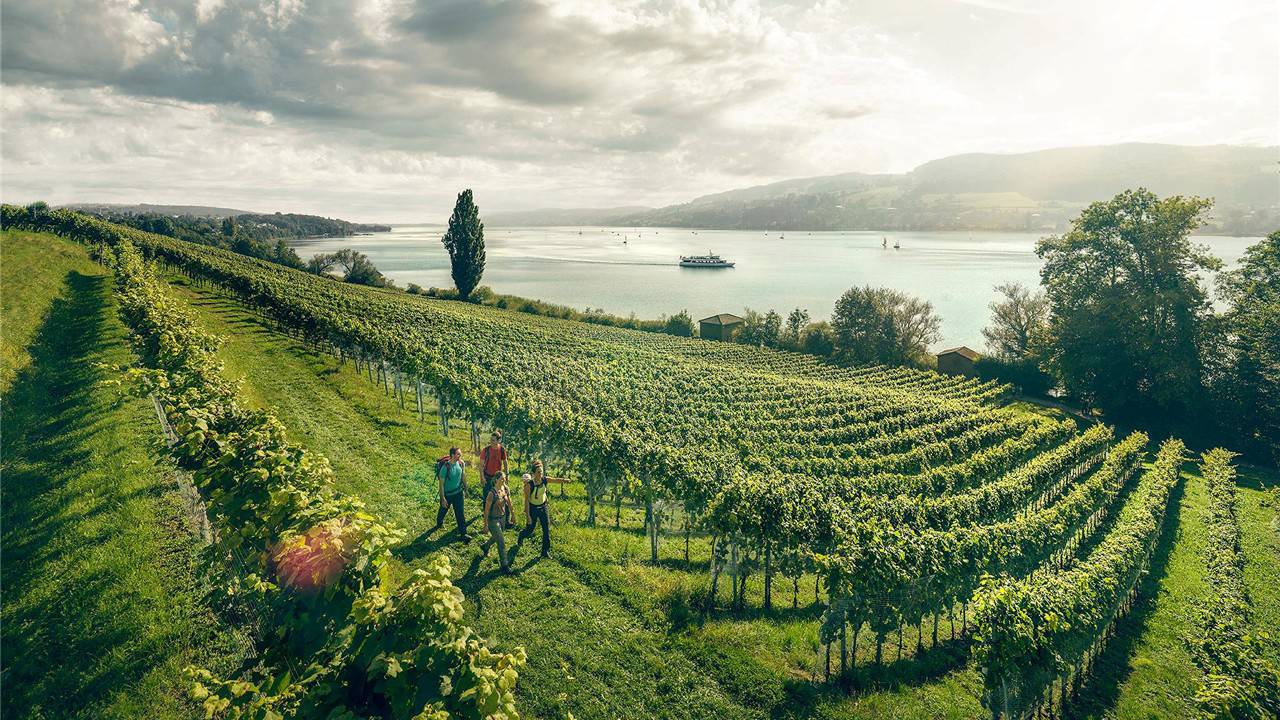 Hallwilersee_AargauTourismus