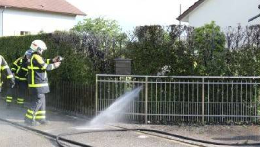 Hecke_Oftringen