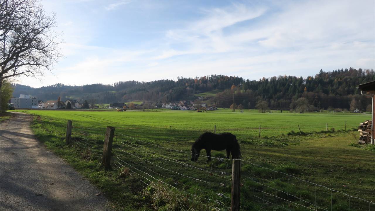 Hegmatte1