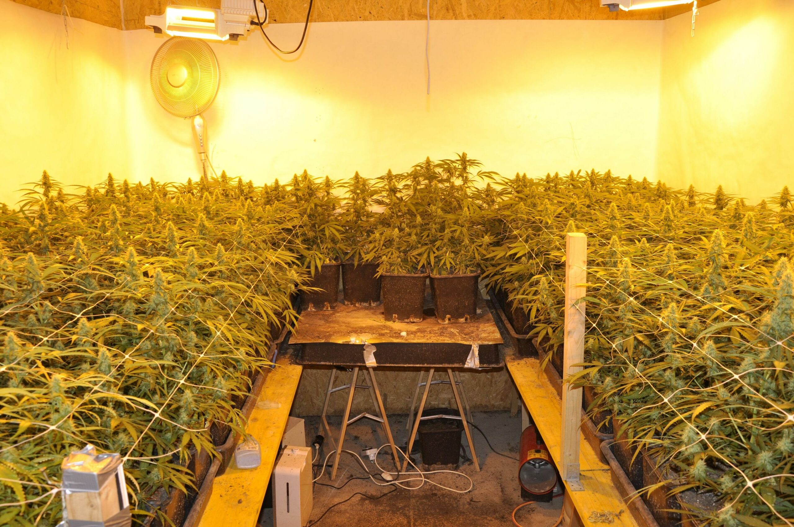 Indoor1
