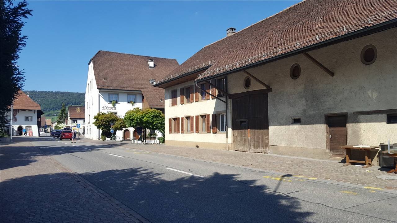 Loewen_Erlinsbach