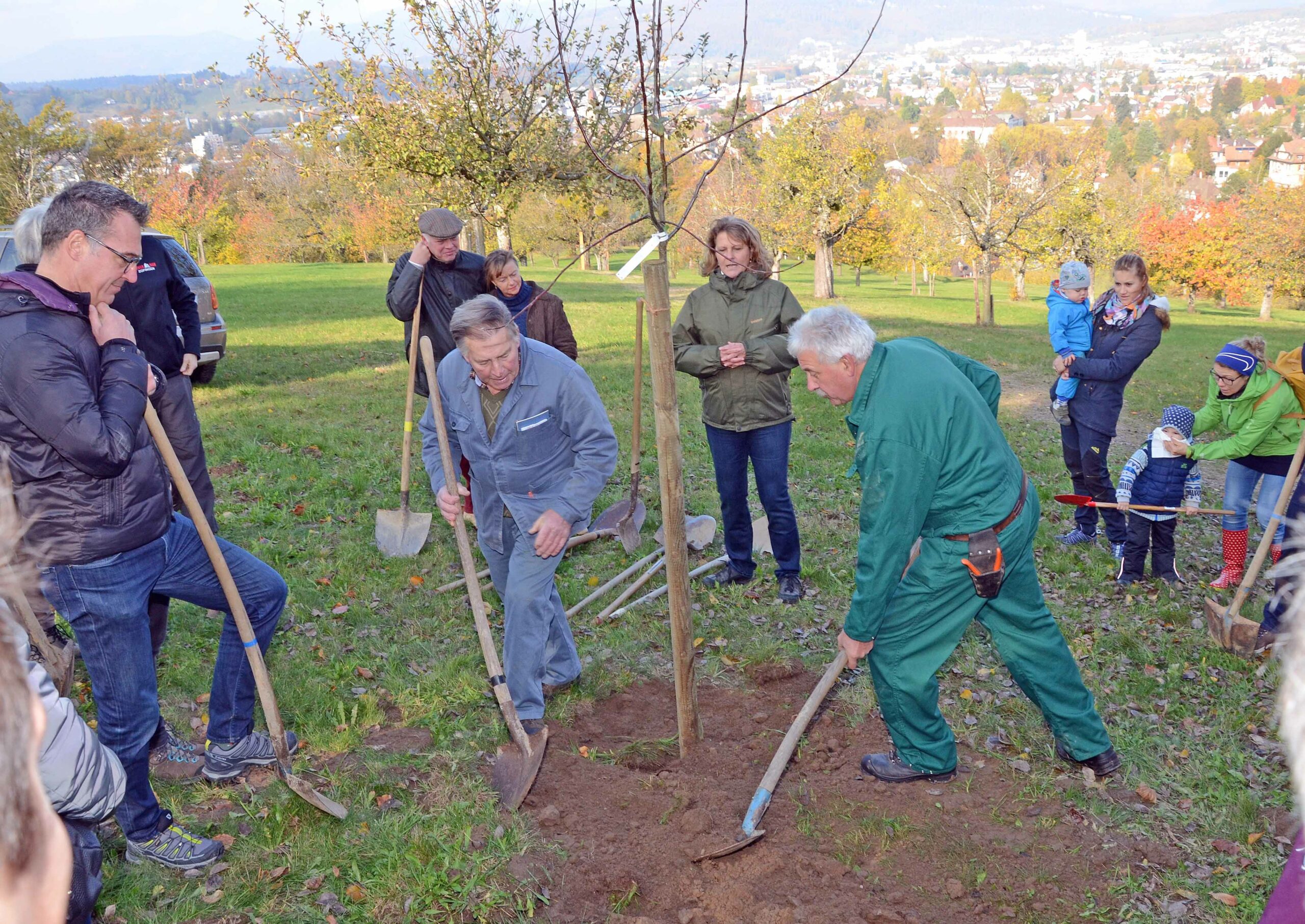 Obstsortengarten_Rotary