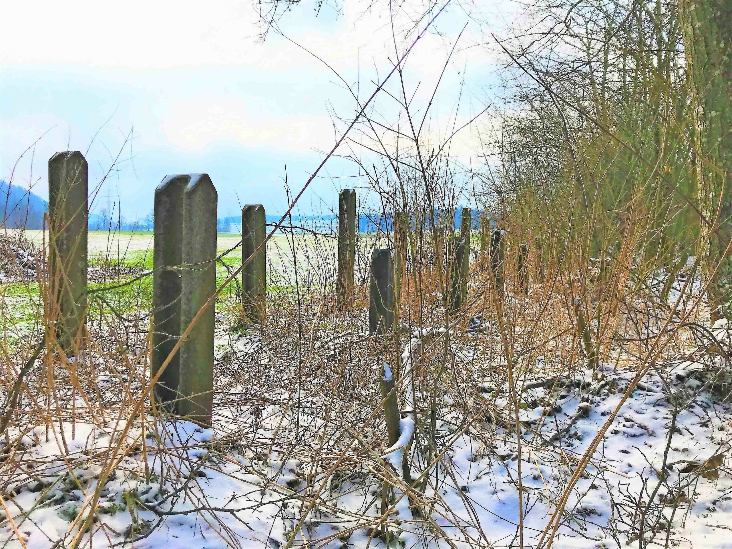 Pro Natura Aargau kauft eine Panzersperre in Vordemwald.