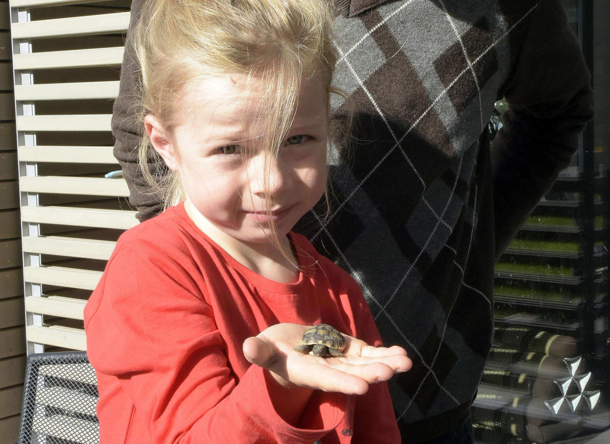 Schildkroete1