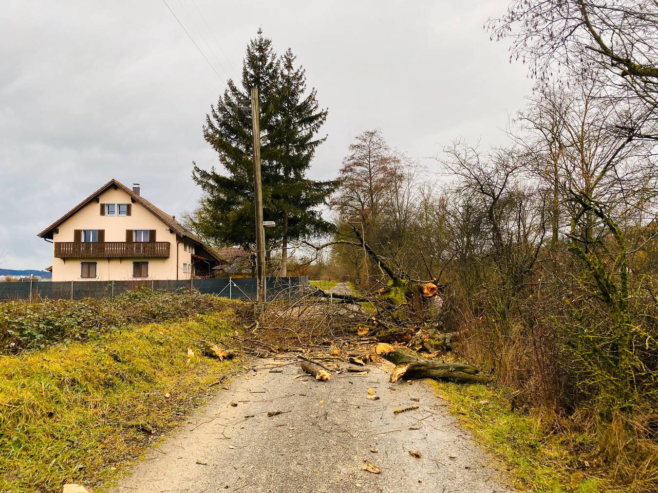 Suhr_Sturm