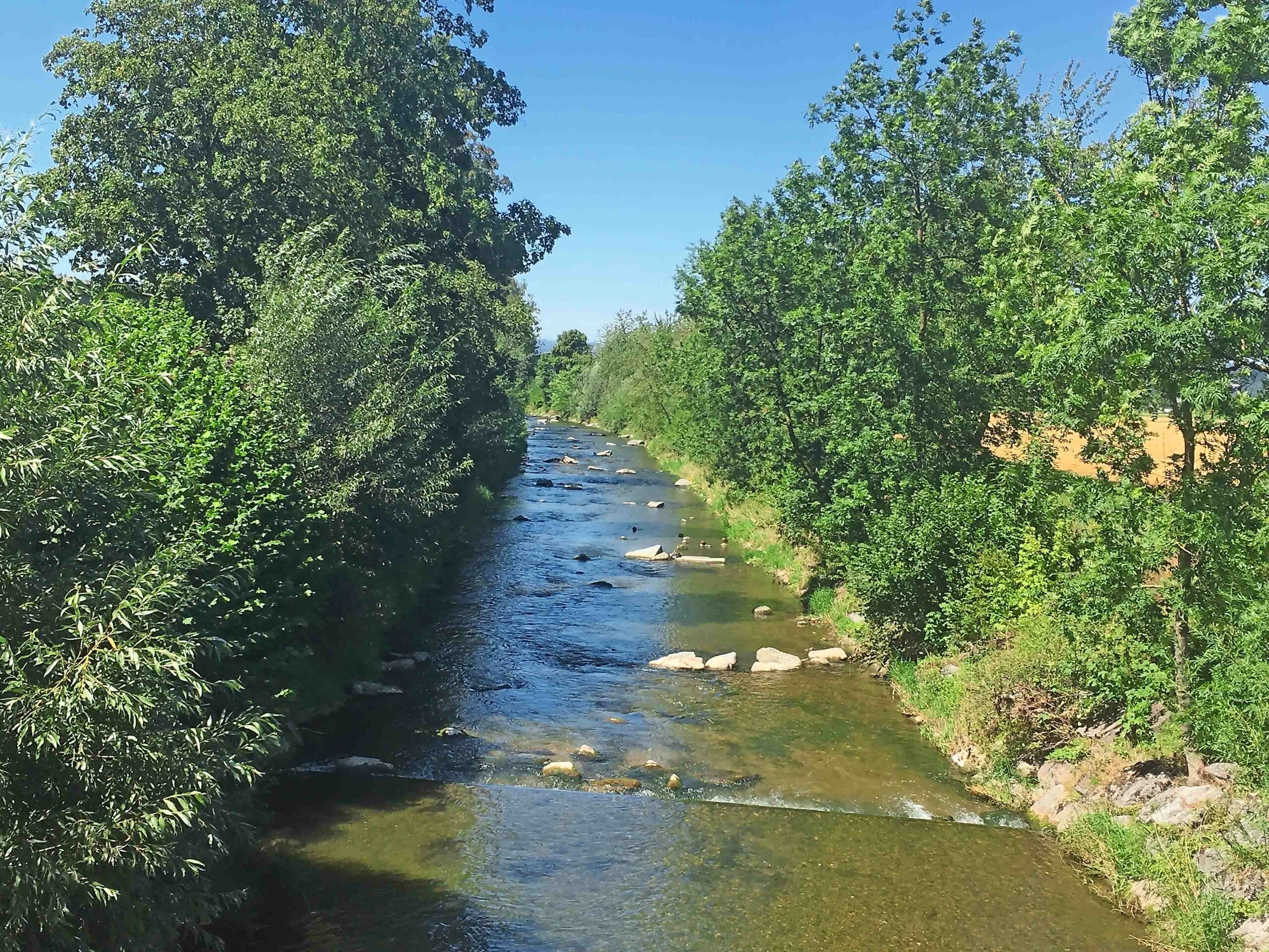 Die Wigger in der Bruggmatte beim Übergang von Reiden zu Langnau