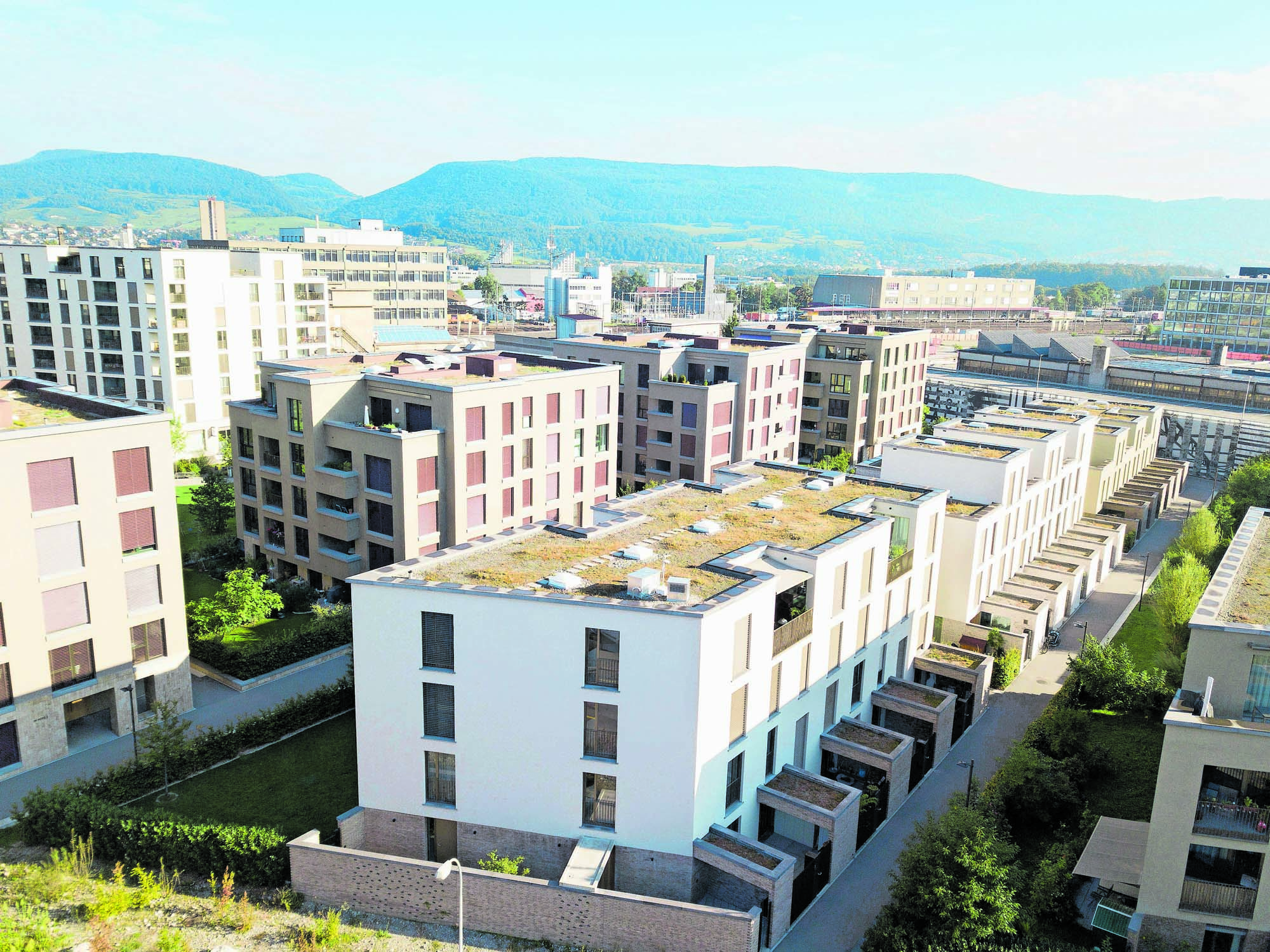 Archivaufnahme: Aeschbachquartier im Morgenschein