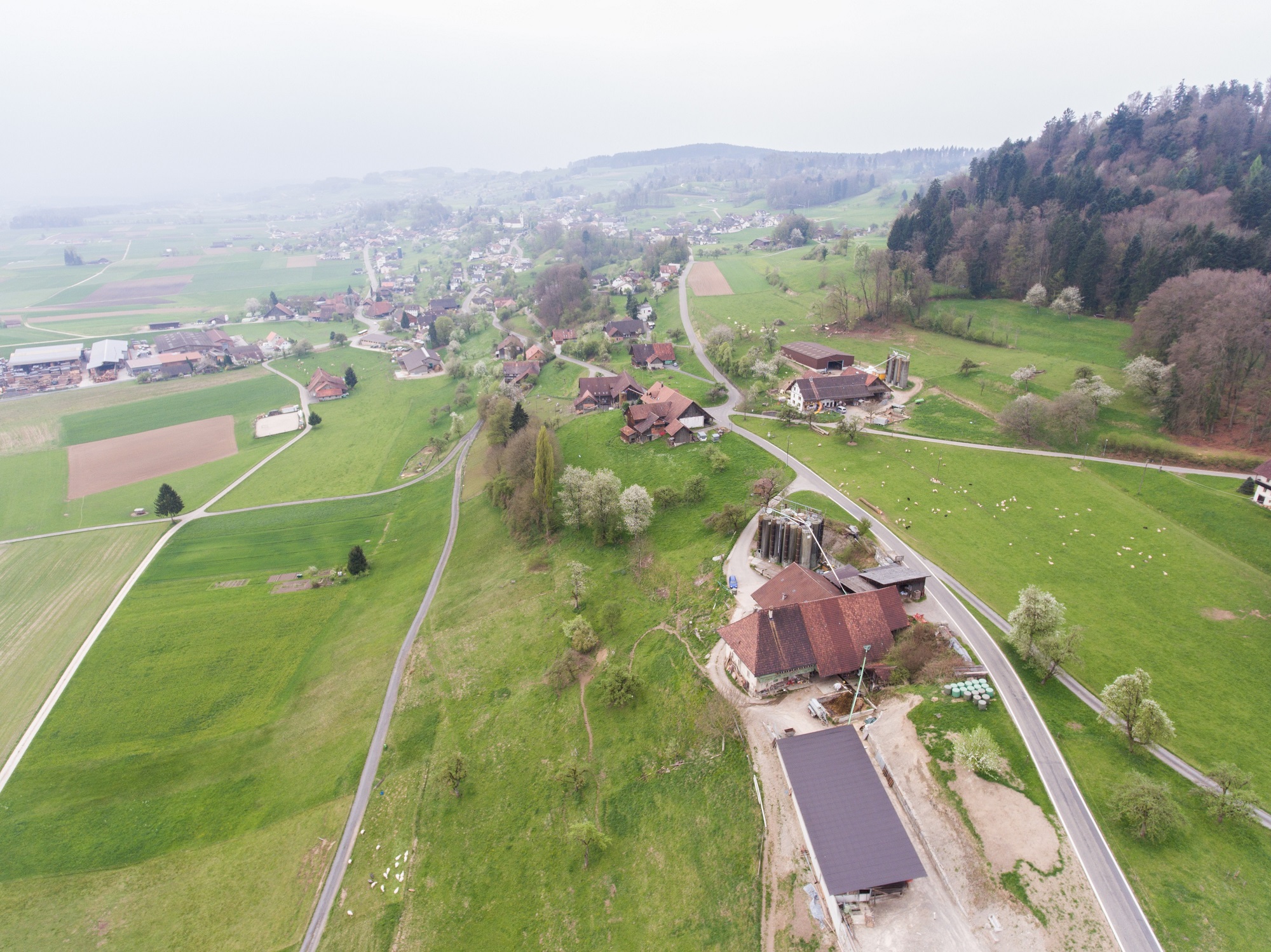 Attelwil aus der Luft, aufgenommen im April 2017.