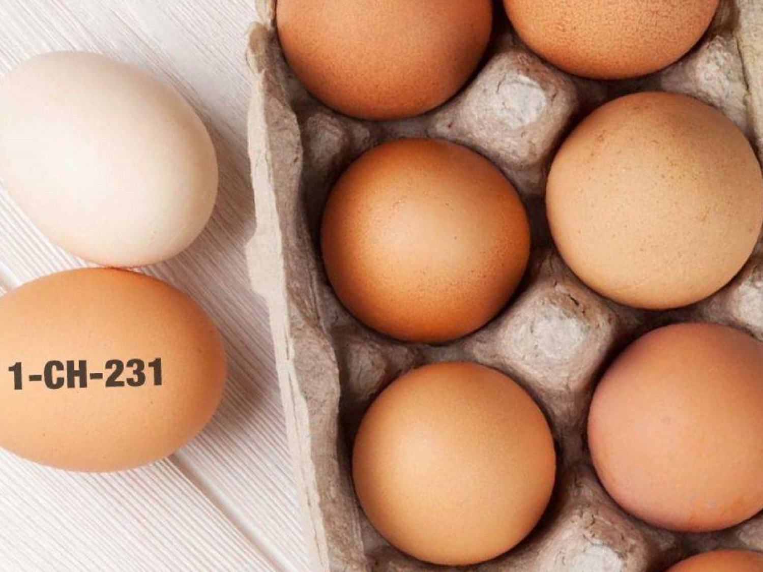 eier_salmonellen_migros
