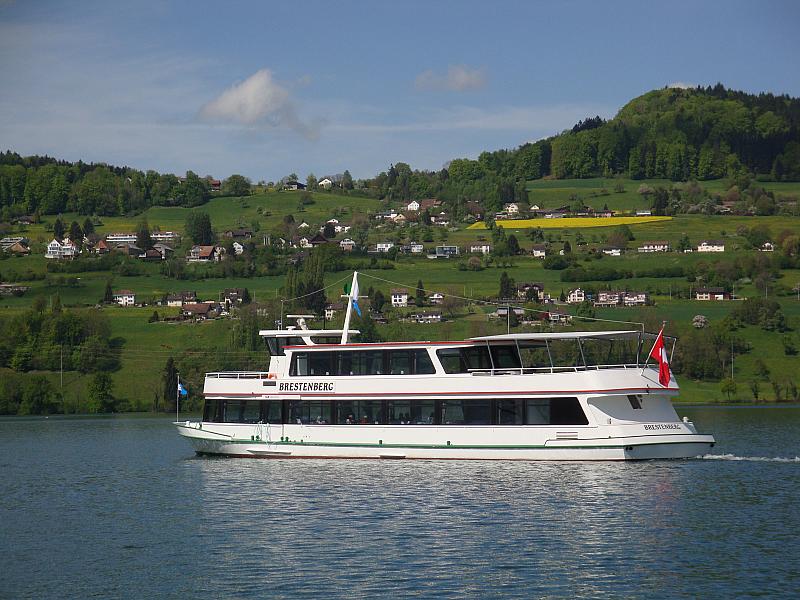 f1_ms_brestenberg1