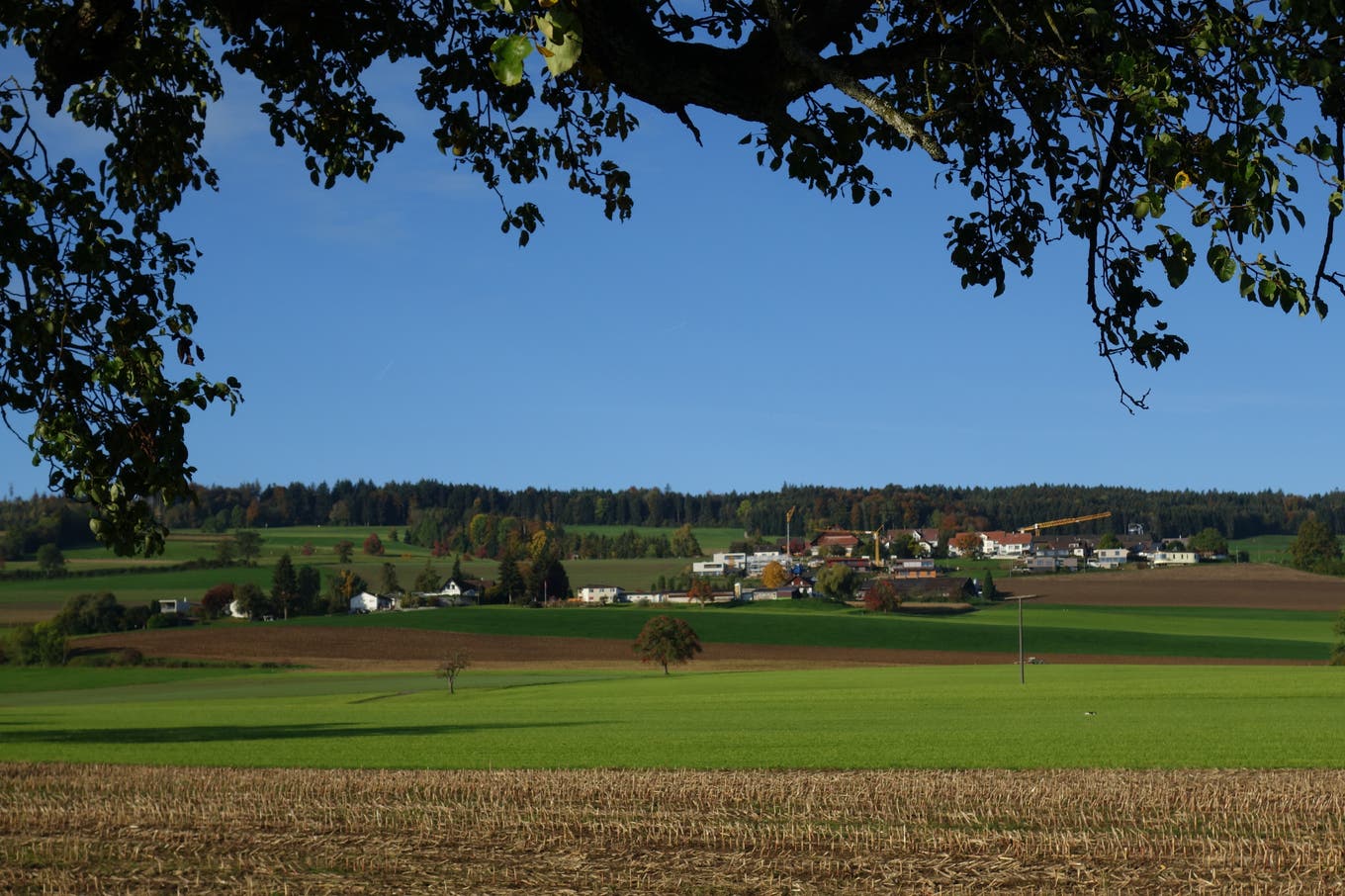 finanz