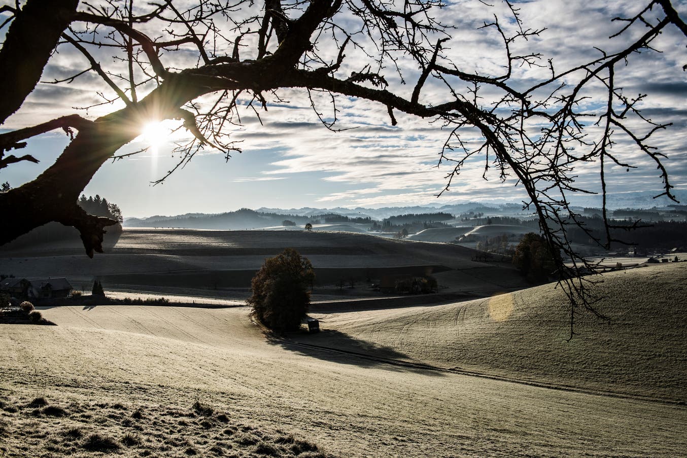 frost_emmental_key
