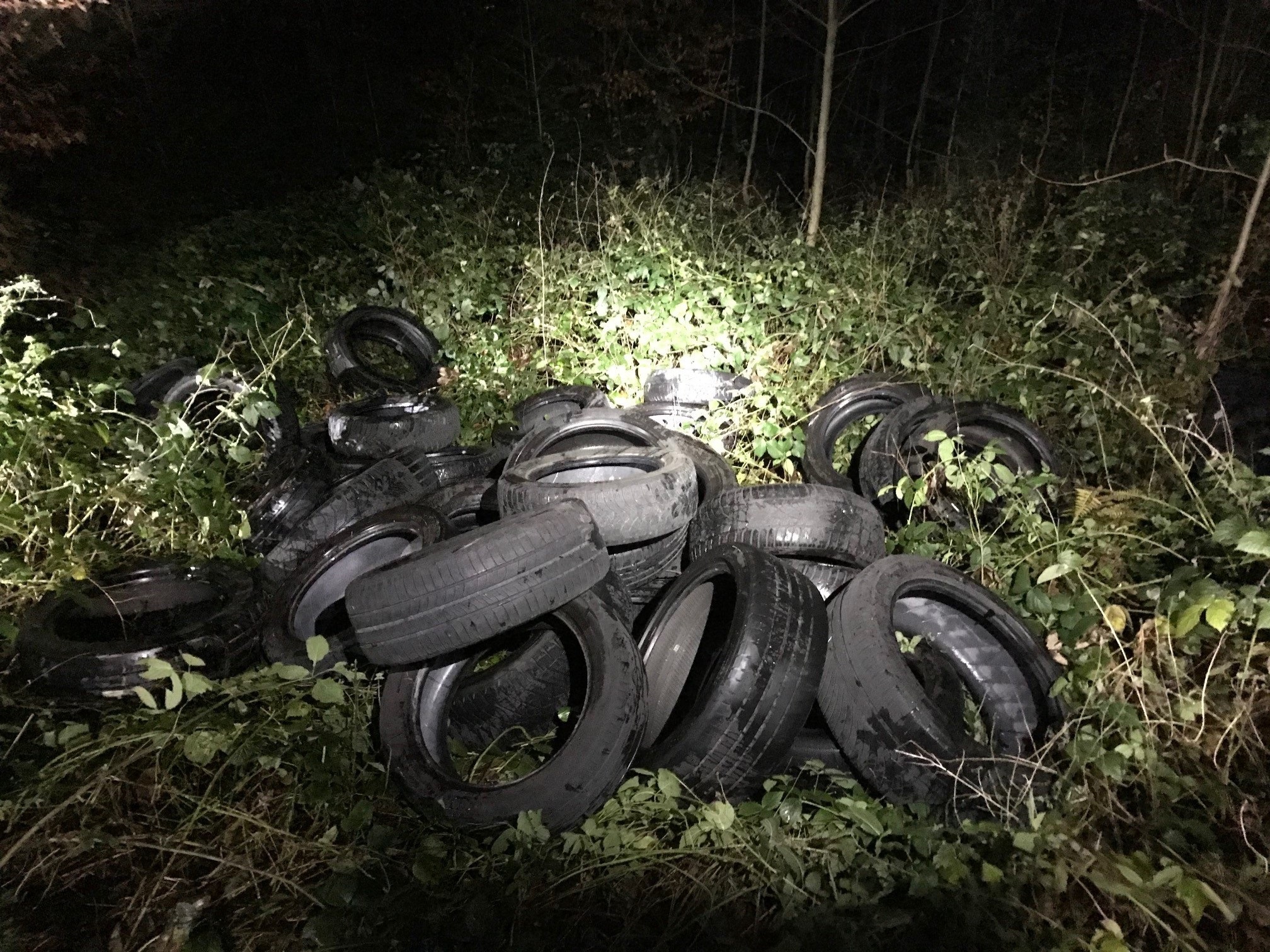 illegal_entsorgte_pneus_291117_repol
