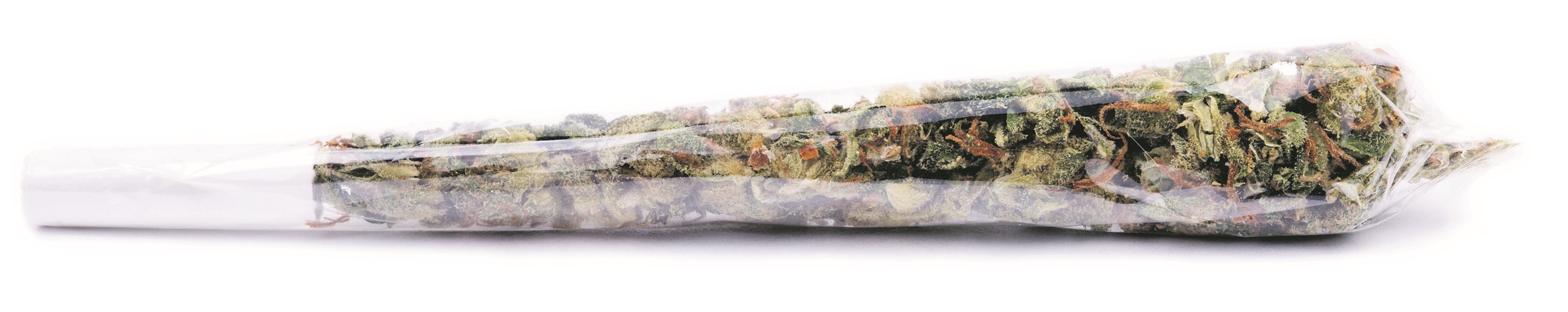 joint