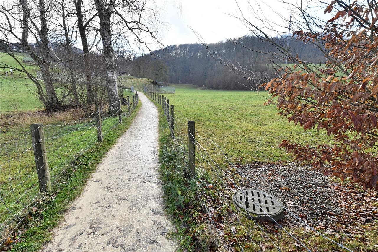 muehlethaeli_Olten