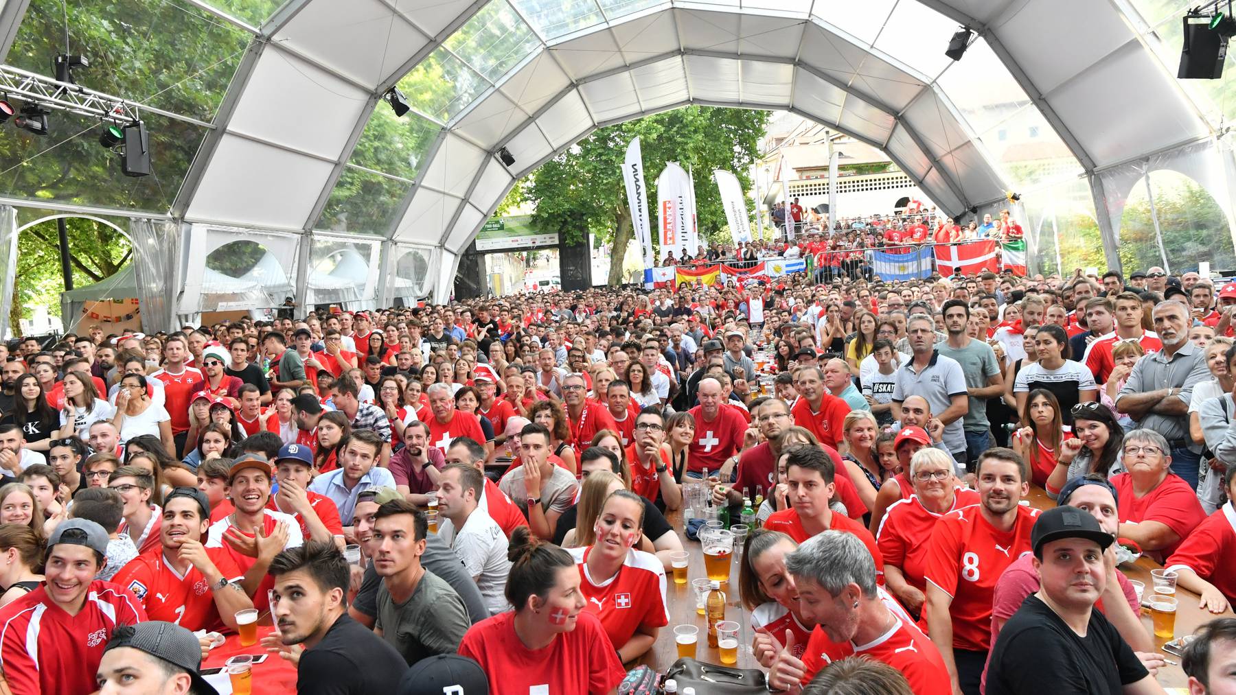 public_viewing