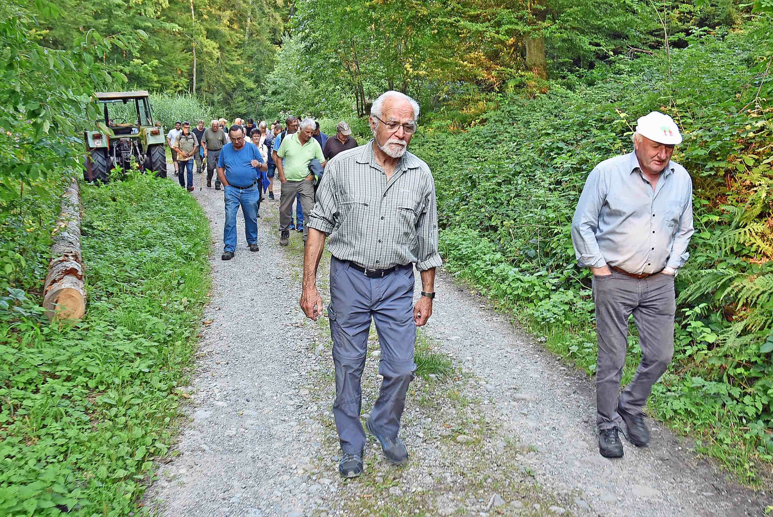 reitnau_wald_aw