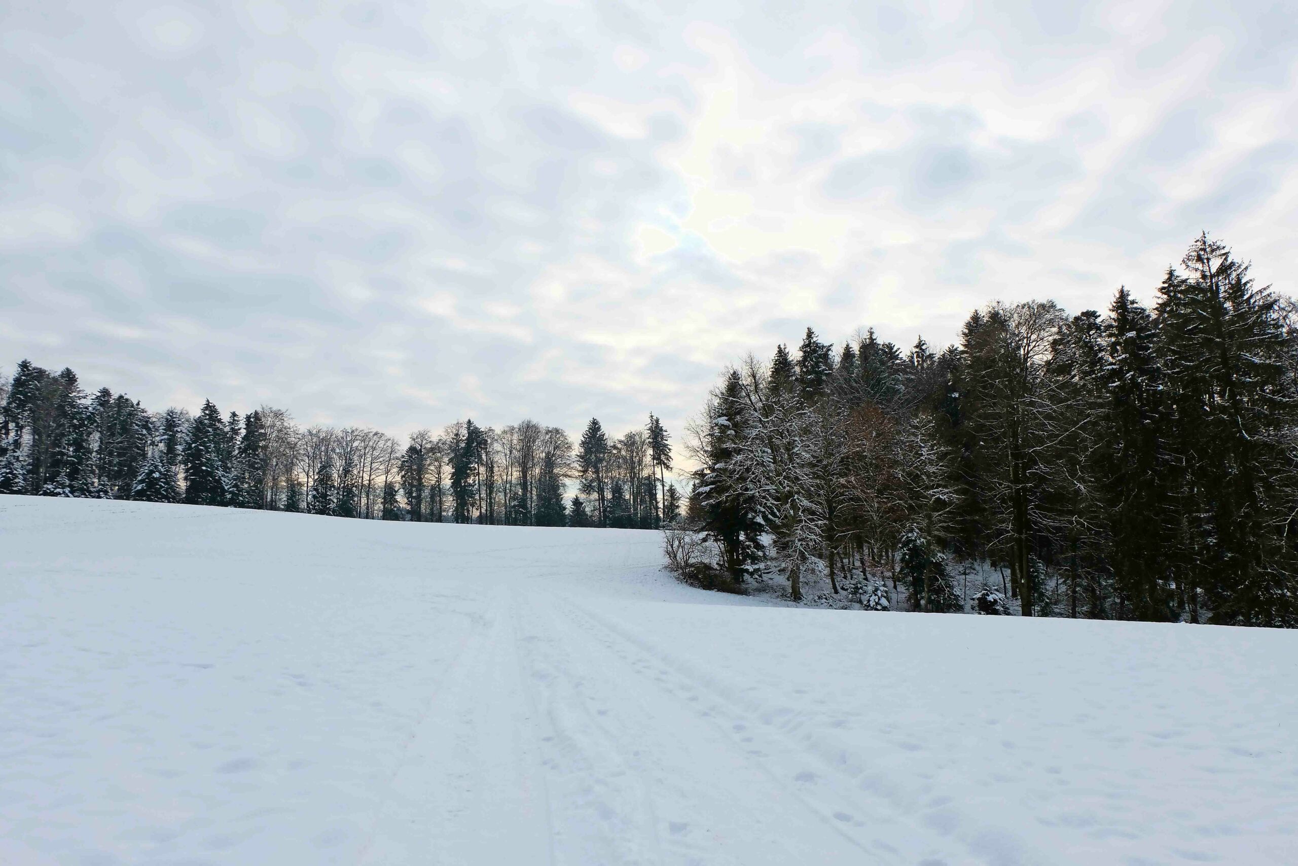 Winter-Spaziergang, ausgehend vom Reider Pfadiheim zum Letten.