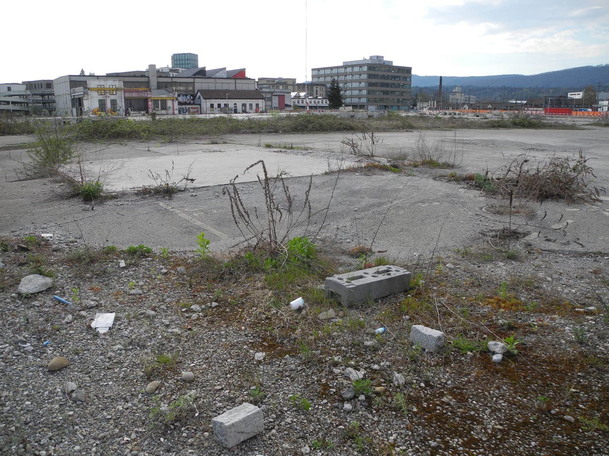 stadionareal_aarau_Vincentini