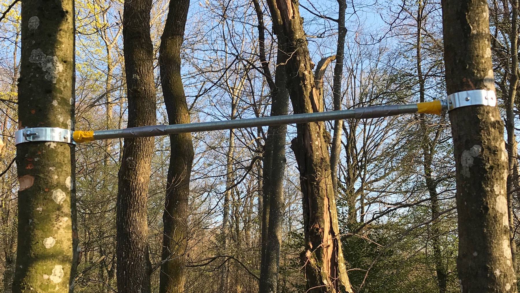 training_Wald