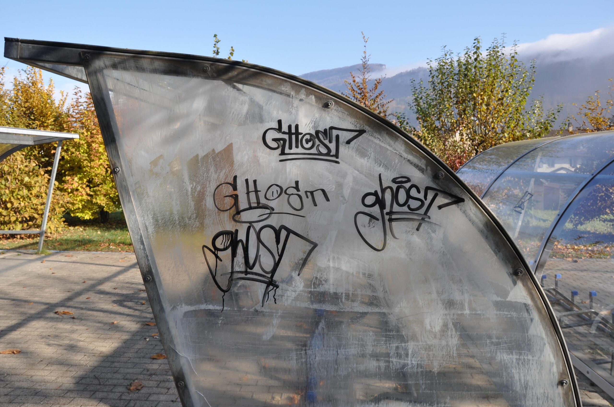 vandale3 Bild: Kapo SO