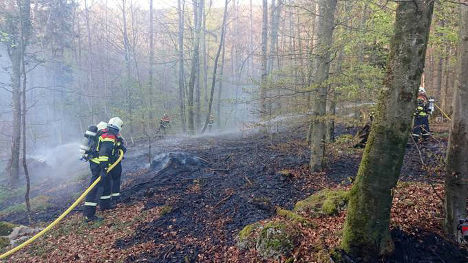 waldbrandgefahr_zvg1