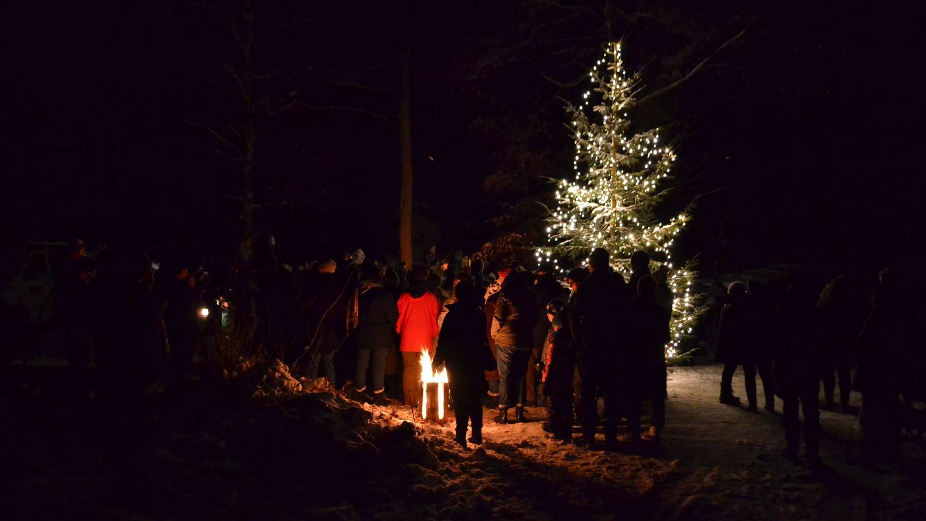 waldweihnachten