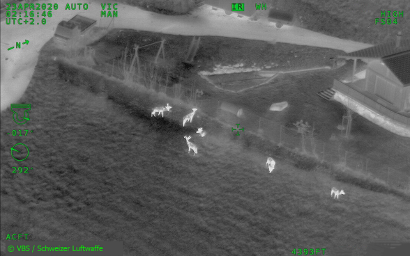 wildzaehlung_armee