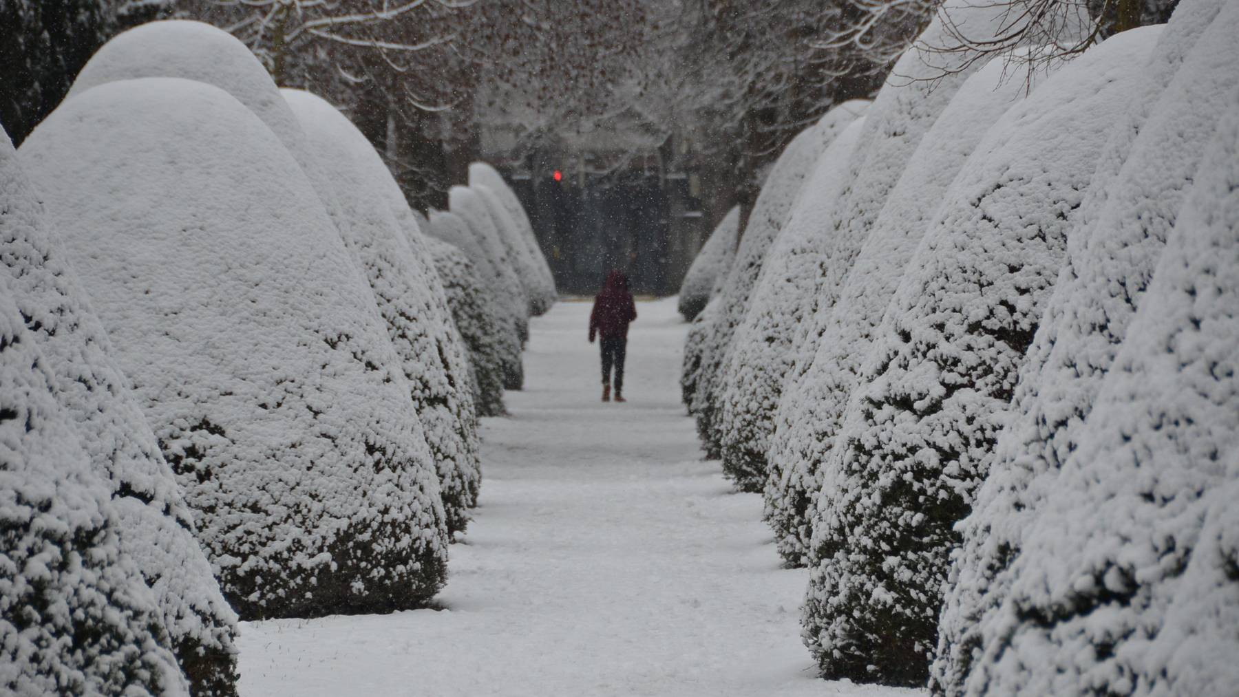winter_AZ