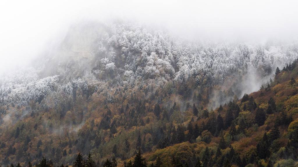 wintereinbruch