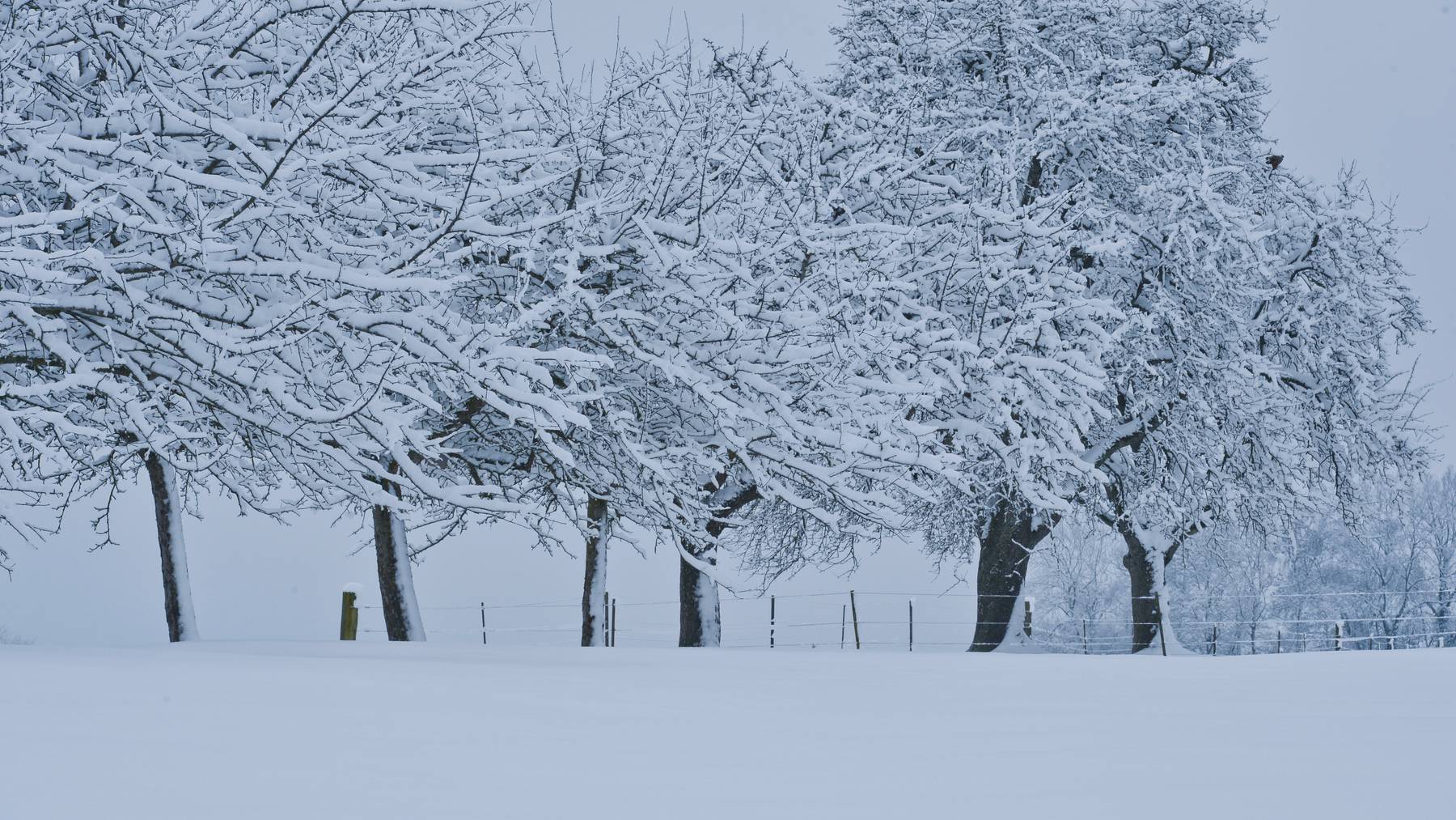 winterlandschaft