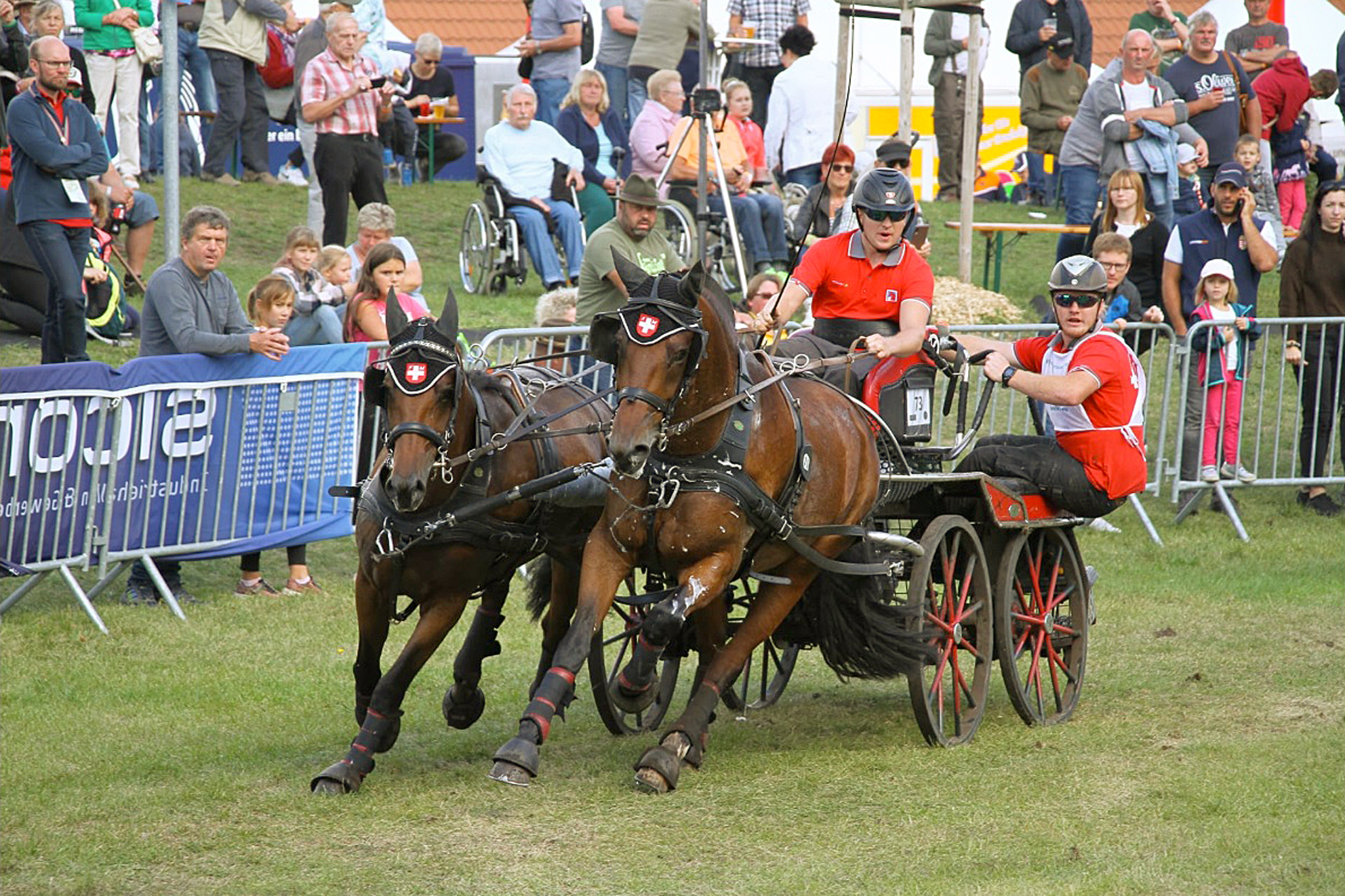 zot_2305_spz_Marcel