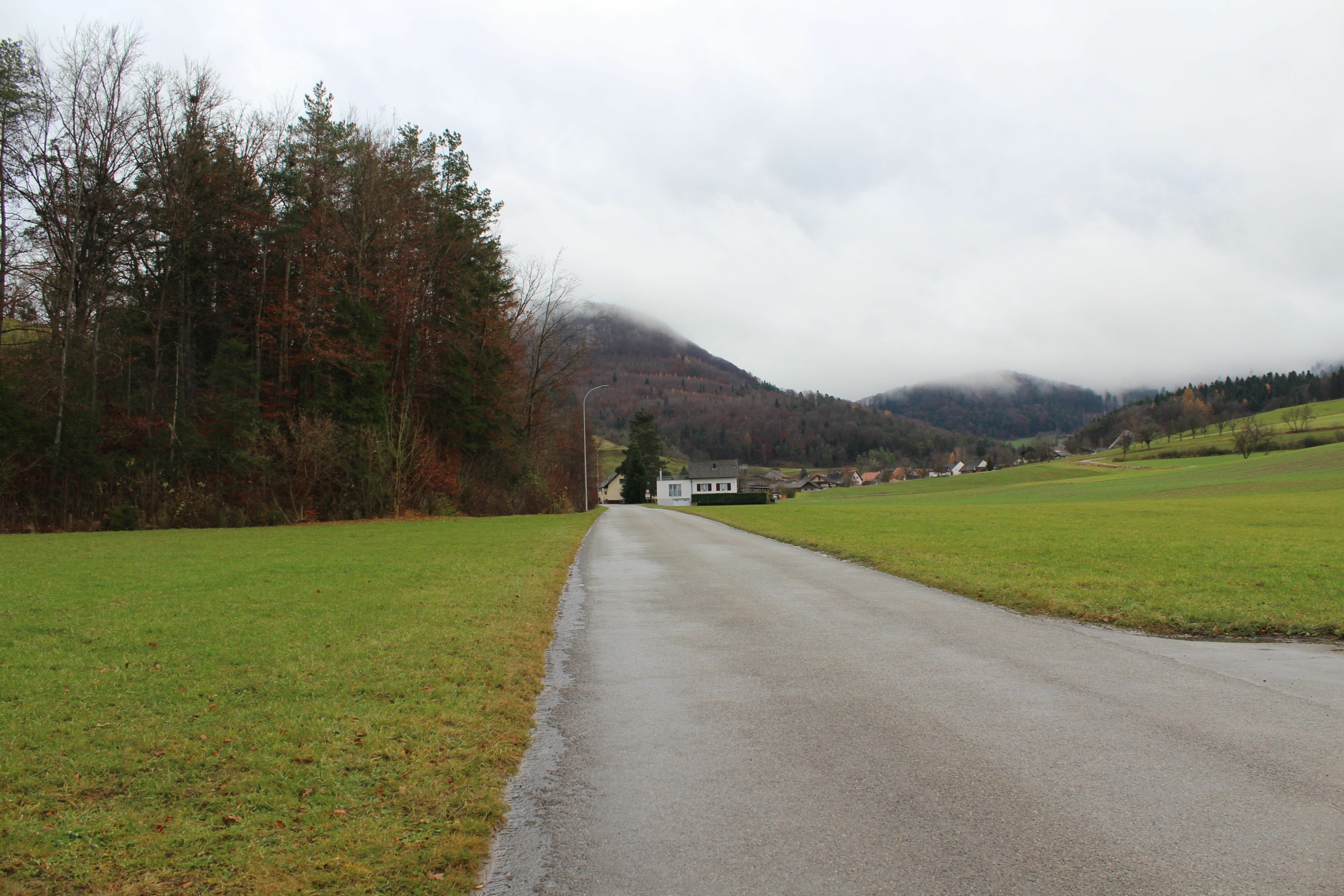 s3hub-zofingertagblatt-staginguploads20211155ea7760-0e5e-adaa-00d6-83746210c33f-346794-346793.jpeg